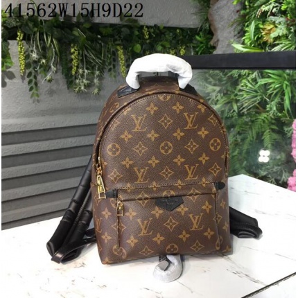 Louis Vuitton AAA+++  Backpacaks 15*9*22CM *in 102073