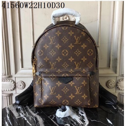 Louis Vuitton AAA+++ Backpacaks 22*10*30CM  in 102074