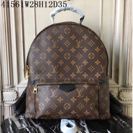 Louis Vuitton AAA+++ Backpacaks 28*12*35CM in 102075