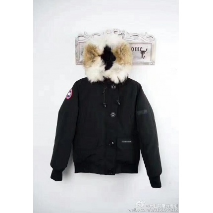 New Canada Goose Down Jackets Wild wolf sweater collar for Women XS-XXL in 110228