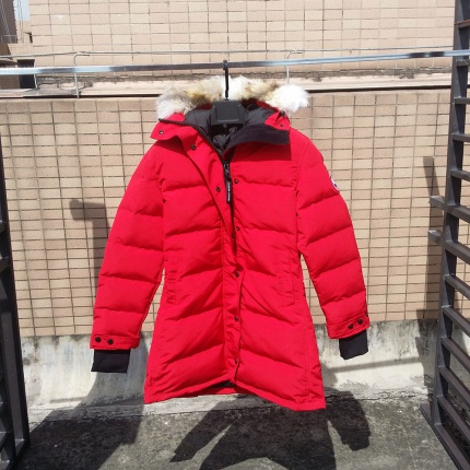 New Canada Goose Down Jackets Wild wolf sweater collar for Women XS-XXL in 110248