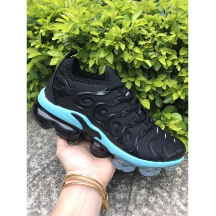 Nike Vapormax TN Plus Shoes for Men in 119093