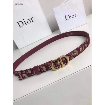 Dior AAA quality Belts in 130555