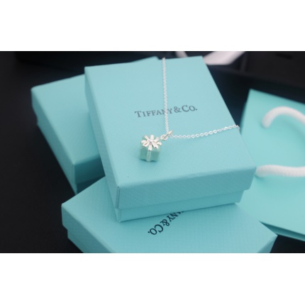 Tiffany Necklace in 133689