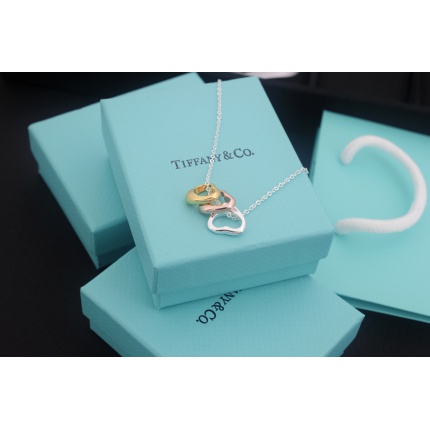 Tiffany Necklace in 133690