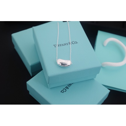 Tiffany Necklace in 133691