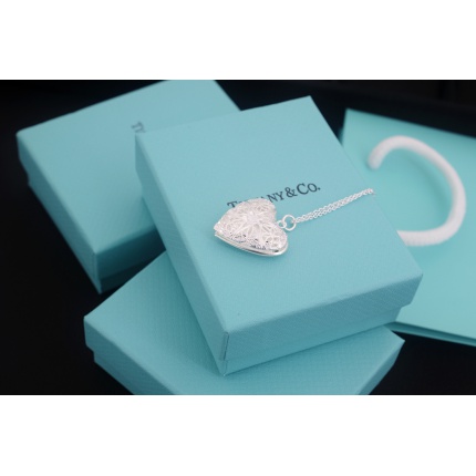 Tiffany Necklace in 133693