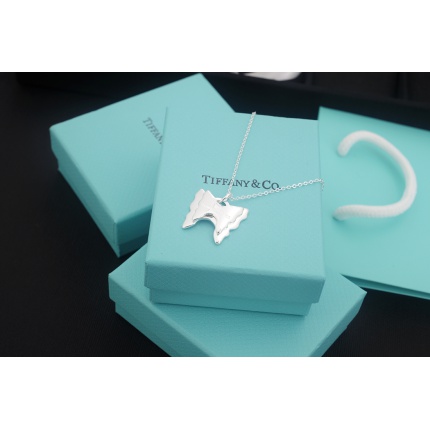 Tiffany Necklace in 133696