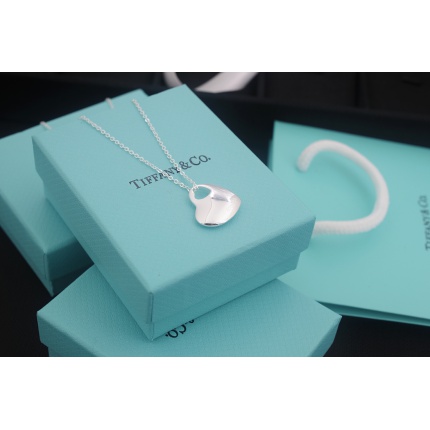 Tiffany Necklace in 133701