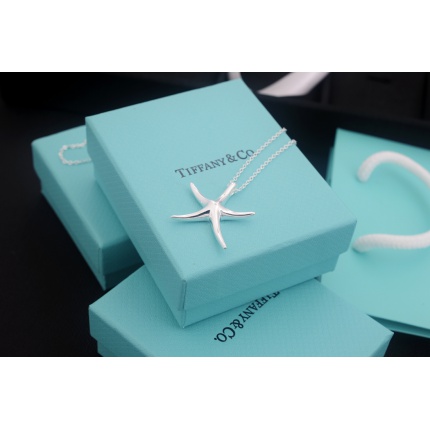 Tiffany Necklace in 133702