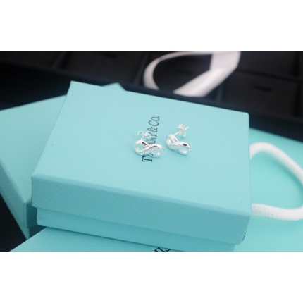 Tiffany Earring in 133705
