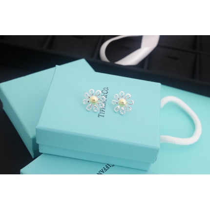 Tiffany Earring in 133707