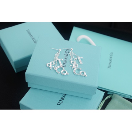 Tiffany Earring in 133713