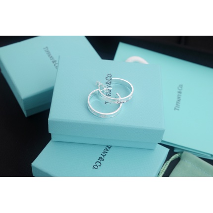 Tiffany Earring in 133714