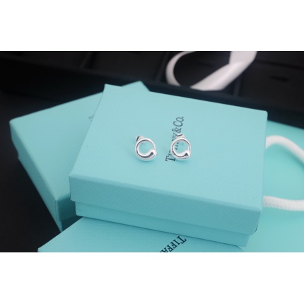 Tiffany Earring in 133717