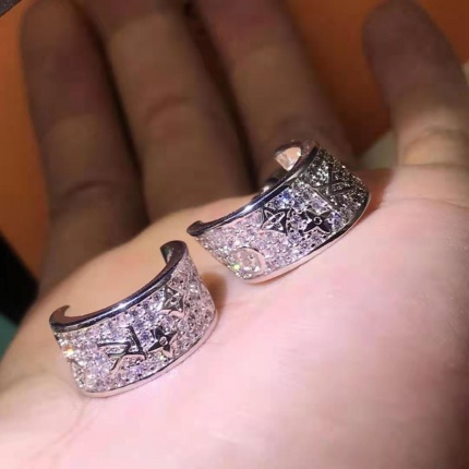 Louis Vuitton Earrings in 135410