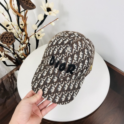 Dior Hats in 143820