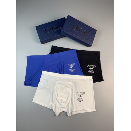 Dior Underwear a pack within 3 pairs in 144618