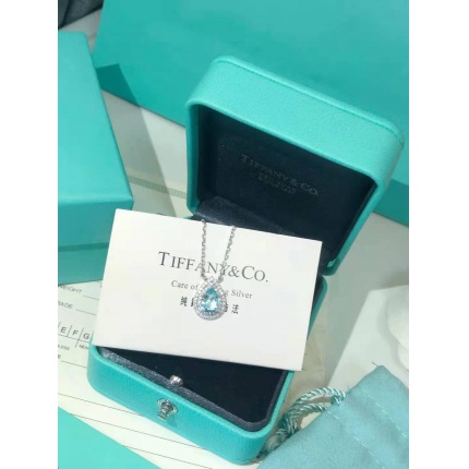 Tiffany Necklace in 145253