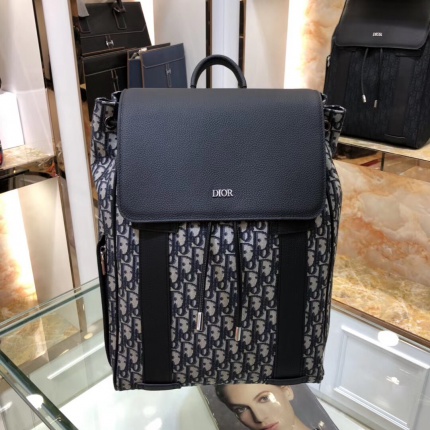 Dior Backpack Bags in 145992