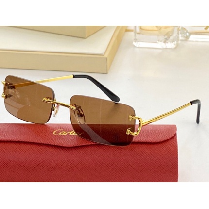 Cartier AAA+++ quality opticals Glasses in 146341
