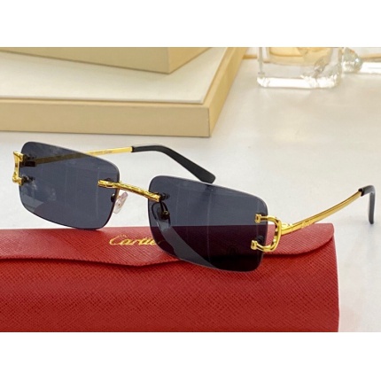 Cartier AAA+++ quality opticals Glasses in 146342