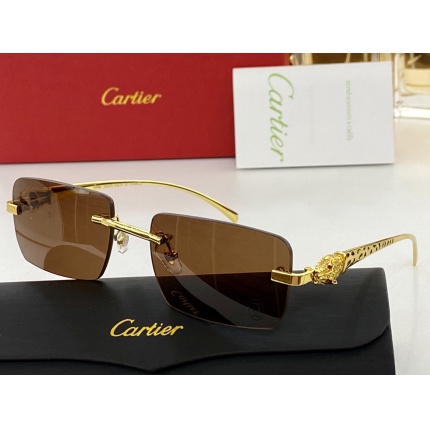 Cartier AAA+++ quality opticals Glasses in 146349