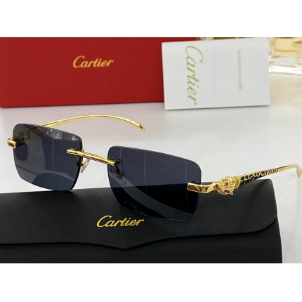 Cartier AAA+++ quality opticals Glasses in 146351