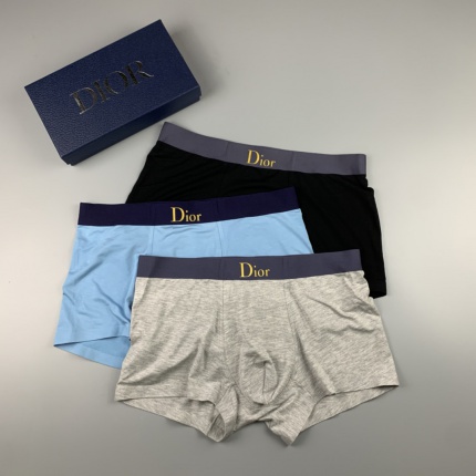 Dior Underwear a pack within 3 pairs in 146971