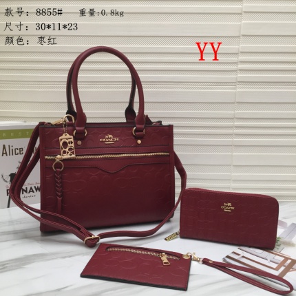 Coach Handbags in 147255