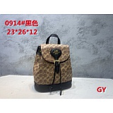 Coach Backpack in 146234