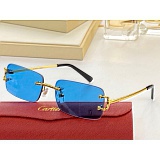 Cartier AAA+++ quality opticals Glasses in 146339