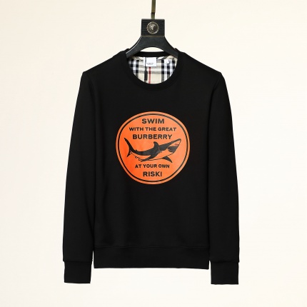 Burberry Hoodies for Men in 150042