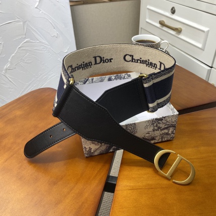 New Arrivals Dior AAA quality Waist Belts For Women in 150358