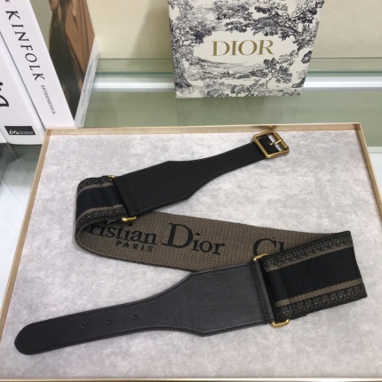New Arrivals Dior AAA quality Waist Belts For Women in 150361