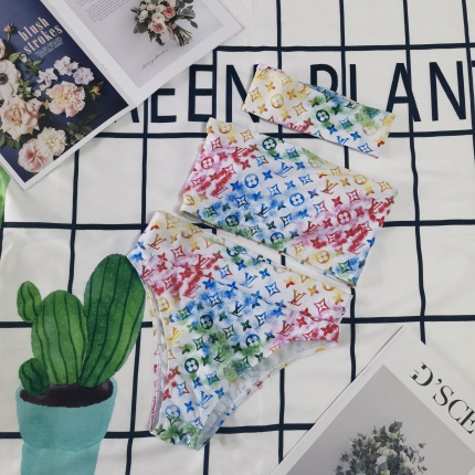 Louis Vuitton Bikini in 153833