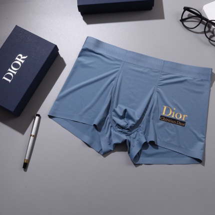 Dior Underwear in 155451