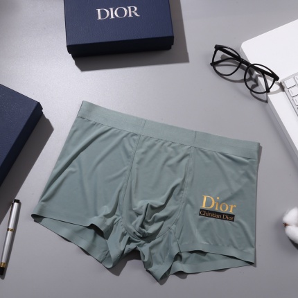 Dior Underwear in 155452