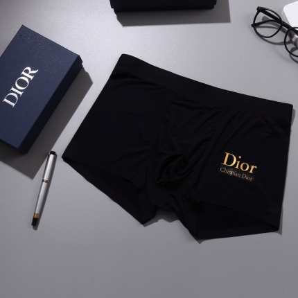 Dior Underwear in 155453