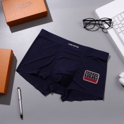 Louis Vuitton Underwear in 155457