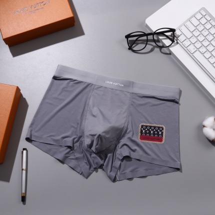 Louis Vuitton Underwear in 155458