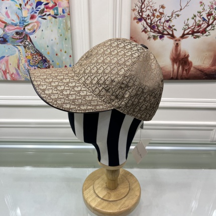 Dior Hats in 156494