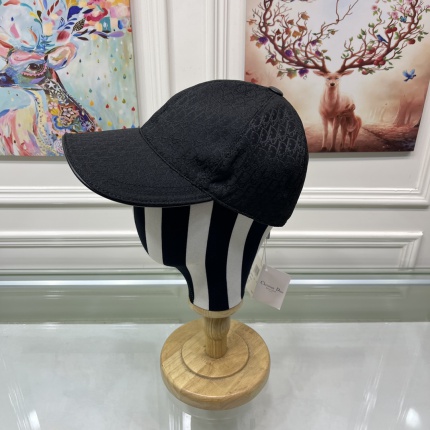 Dior Hats in 156495