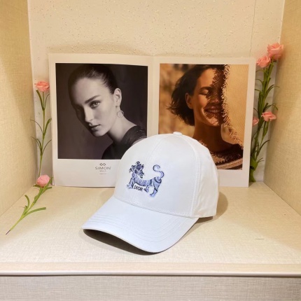 Dior Hats in 156526