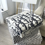 New Arrivals Dior Blankets in 157938