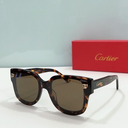 Cartier Glasses in 161867