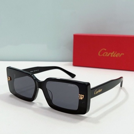 Cartier Glasses in 161876