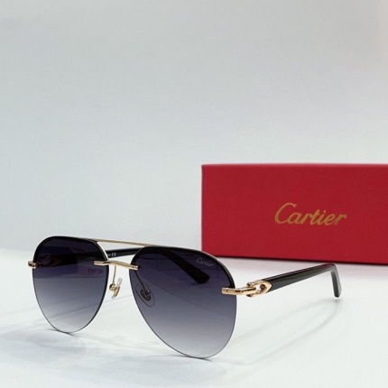Cartier Glasses in 161889