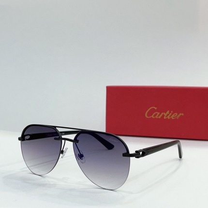 Cartier Glasses in 161890