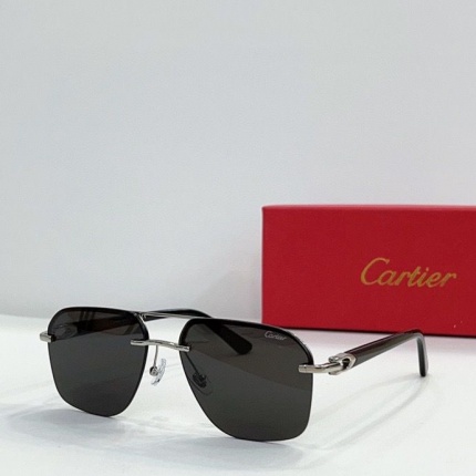 Cartier Glasses in 161896
